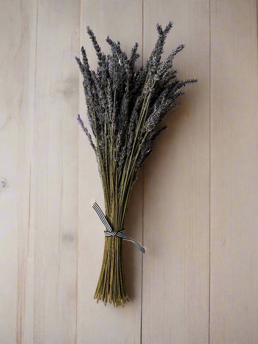 Bouquet of lavender tied with twine on a wooden surface